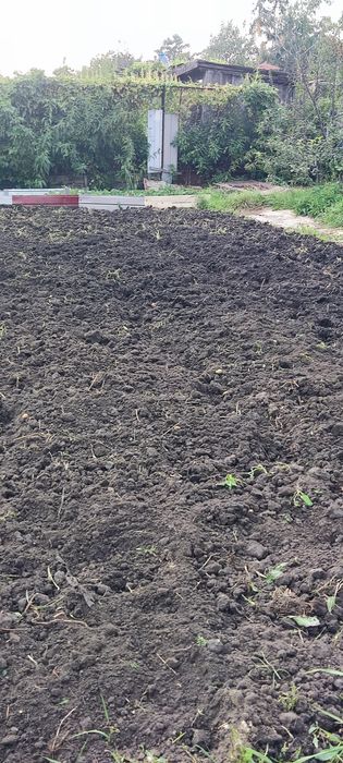 Продам дачу с баней в  СТ  Борки