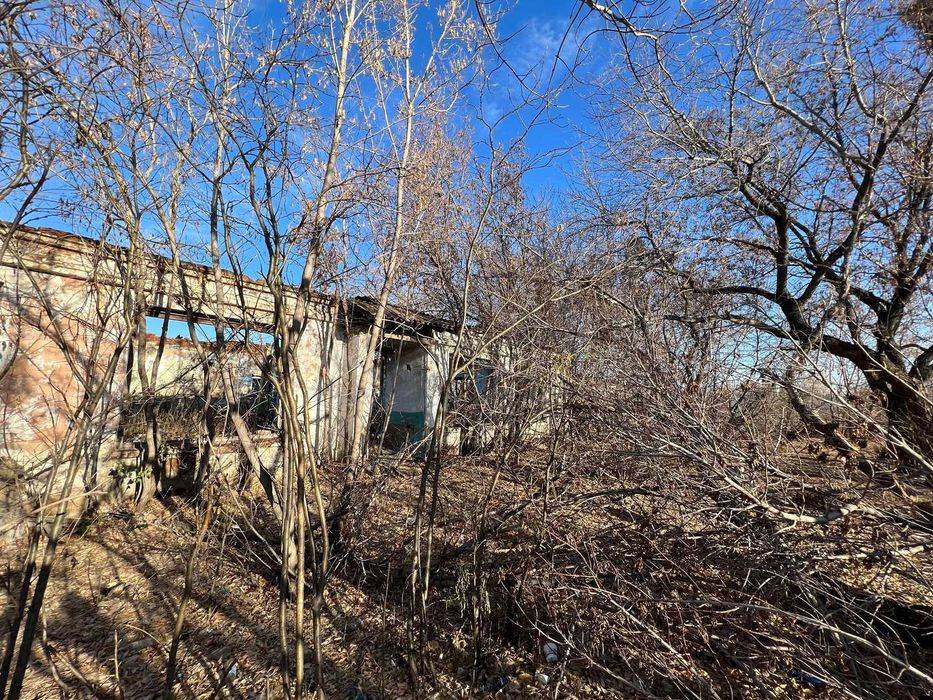 Продам коммерческий участок. с. Петерфельд.