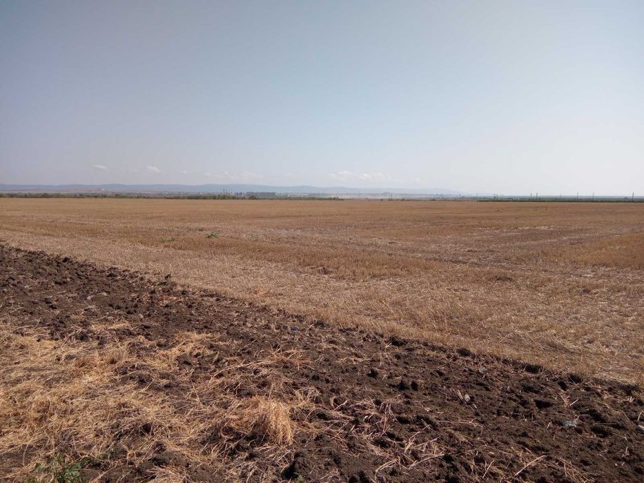 Продава се Парцел в Поморие - 8148 кв.м за 6 €/кв.м - Снимка #5