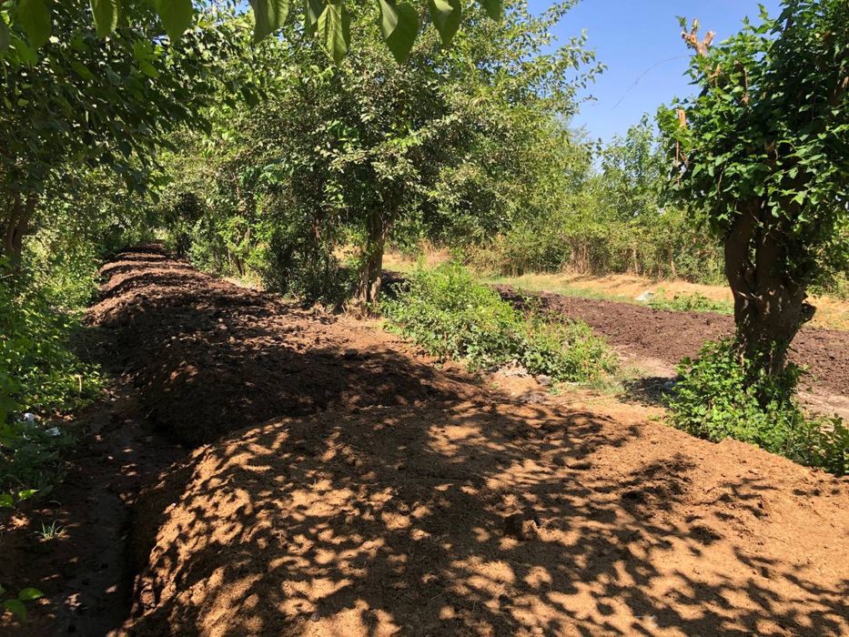 Biogomus mahsuloti. Qancha hohlasela shuncha bor.