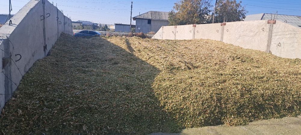 Senaj sotiladi 9 kamaz bor