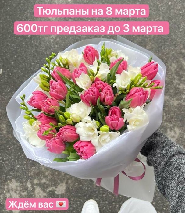 Продам  тюльпаны