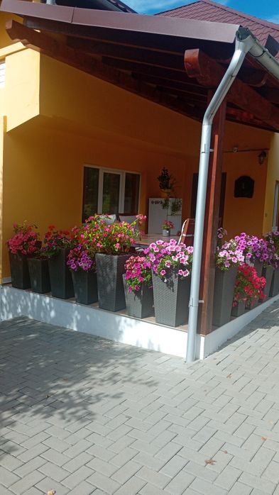 Casa duplex de vanzare