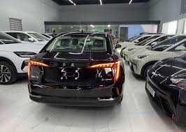 BYD Han L2ta motor pod zakaz