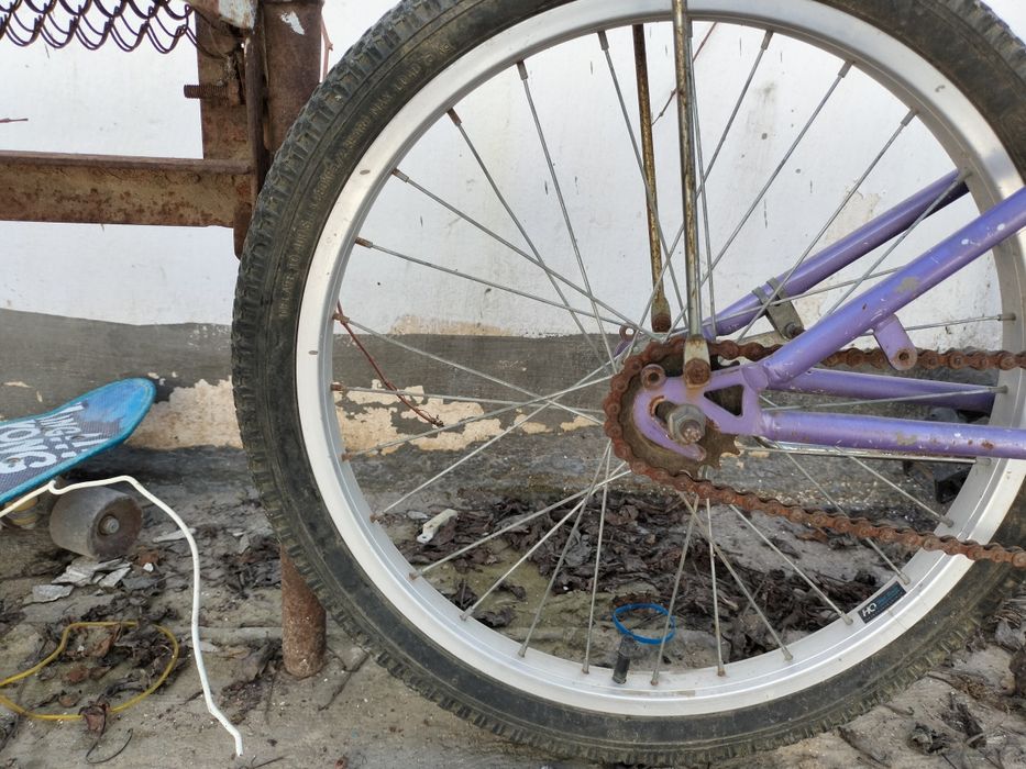 Велик сатлады арзан бағада