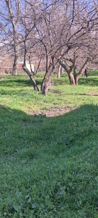 OQ TOSH 12 SOTIX YER SOTILADI xujjati joyida