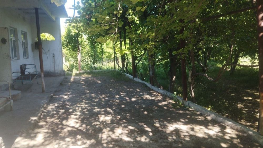 Biznes uchun Noturar Yer Bino Dacha Sotiladi