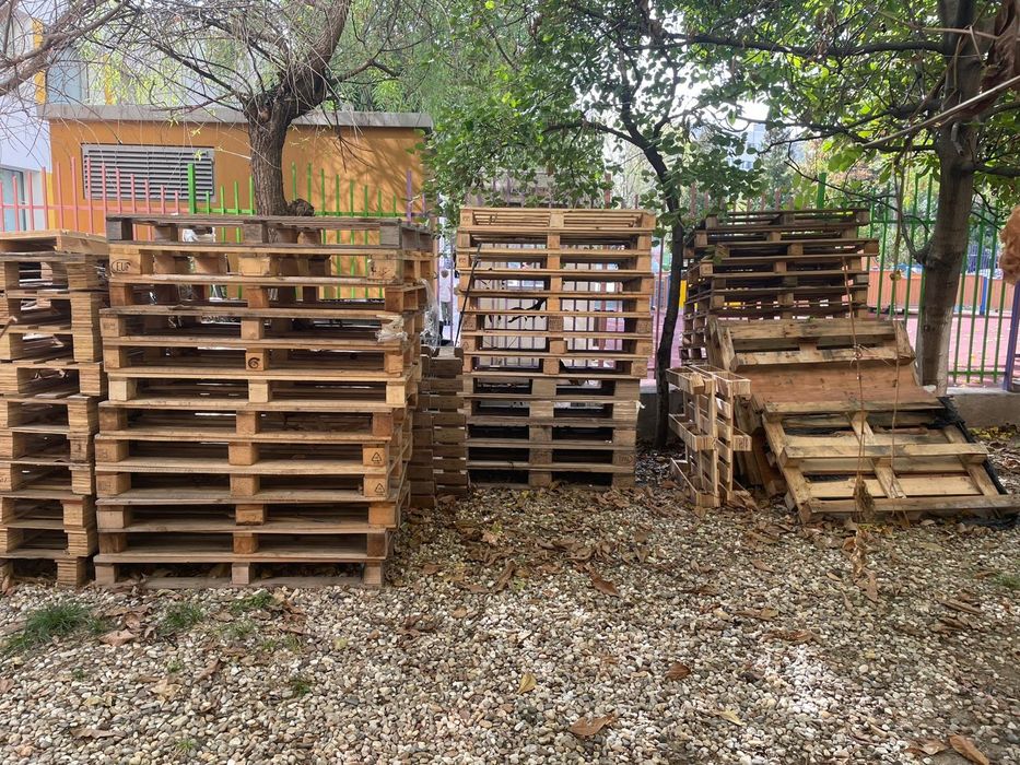 Paleti din lemn europaleti si non euro   pret bun daca se iau toti !
