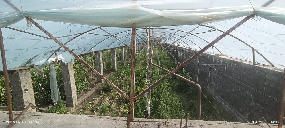 Issiqxona sotiladi ijaraga birladi