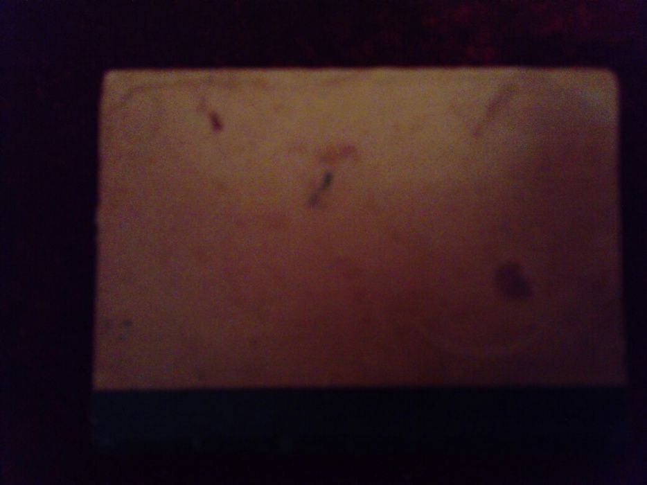 Български синонимен речник