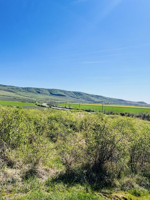 Șiria - teren extravilan de vanzare