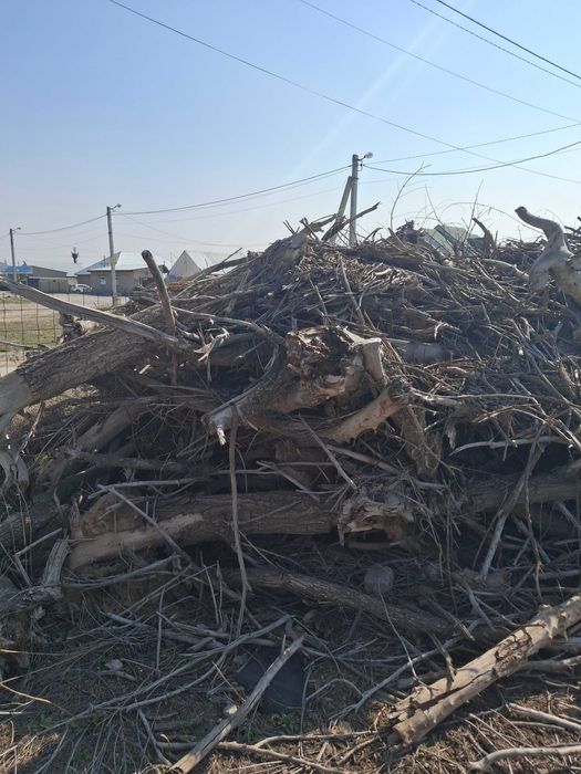 Дрова для шашлыка