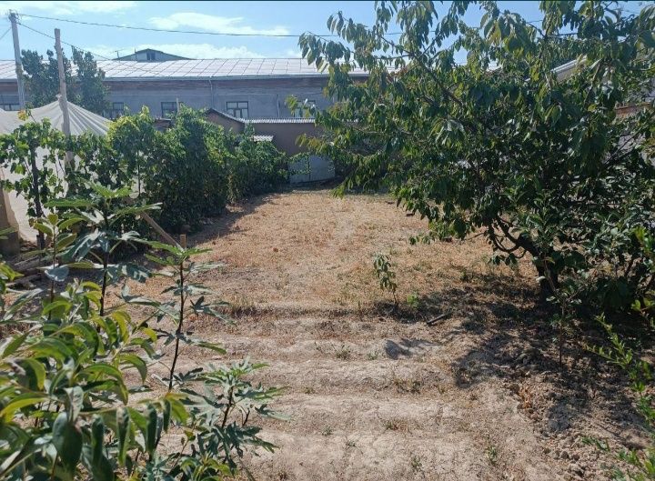 Yer sotiladi Yunusobod tutizor mahallada. Srochnaa!!!