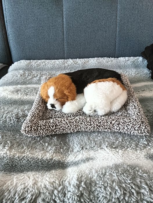 Аксессуар для машины