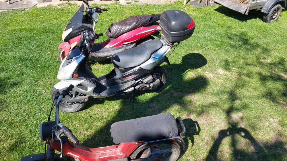 Scutere de vanzaré 80 cm in acte de 50. Carte identitate