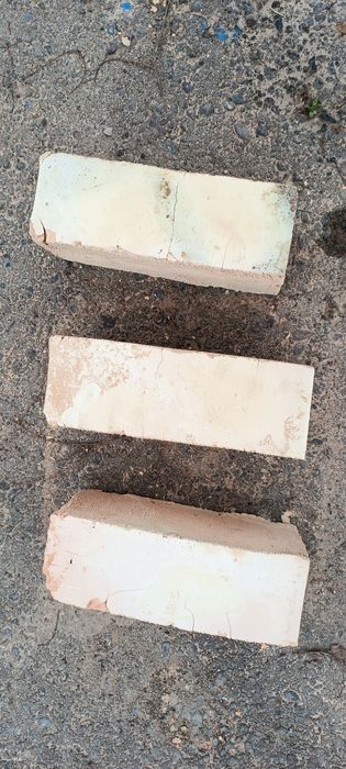 Pishgan va hom gʻisht