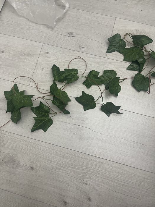 Декоративные листья лианы