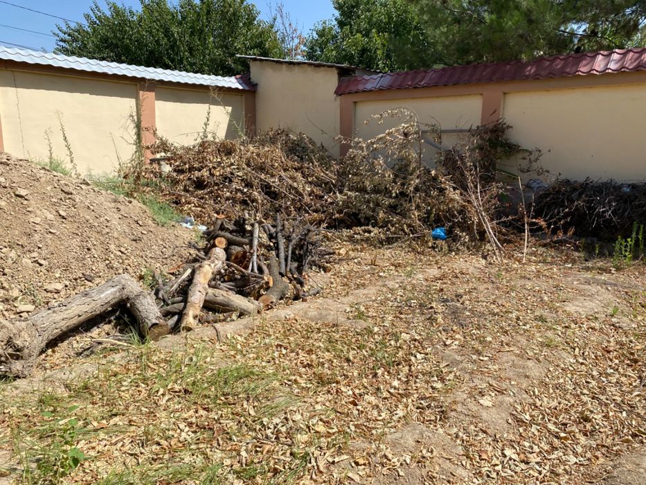 O’tin qalinlari kop