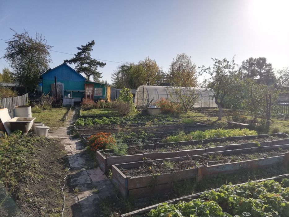 Продам дачу пк ст борки ТОРГ!