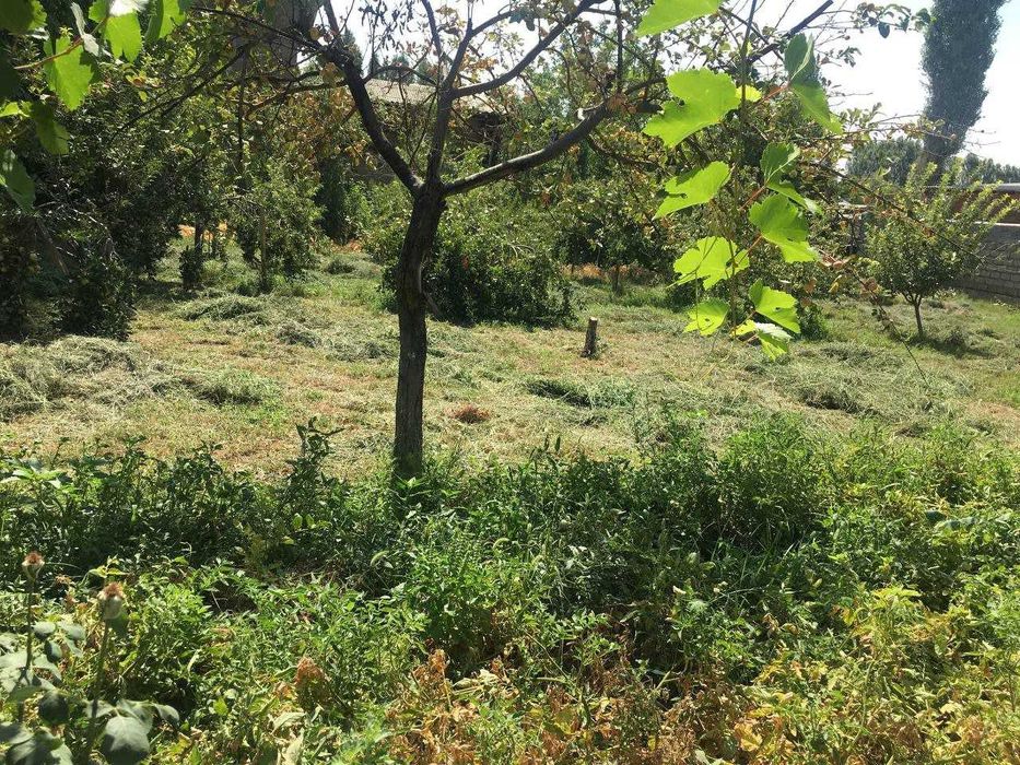 Участок. СРОЧНО!!!