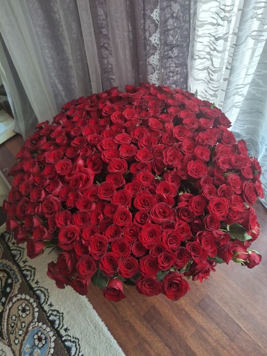 Розы красные свежие