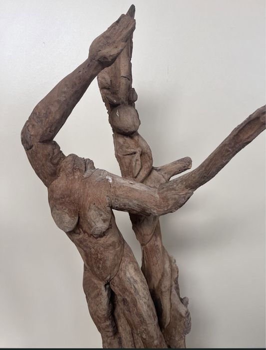 Sculptura din lemn unicat!
