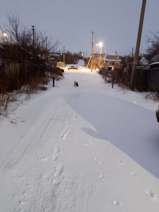 Продам дом срочно