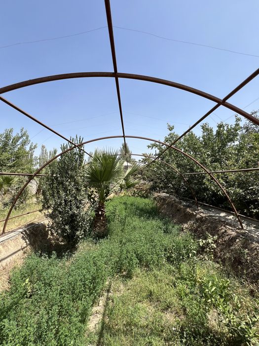 Яккабог пасёлка/ парник сотилади