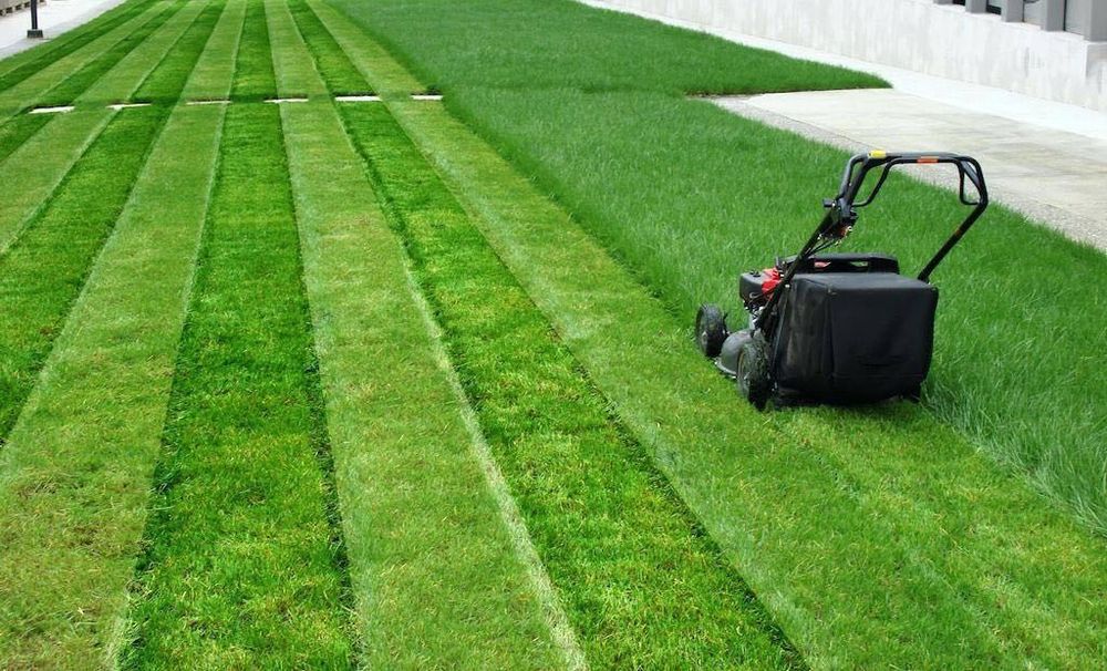 Газон ориш хизмати