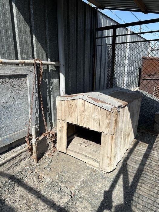 Вольер для собаки