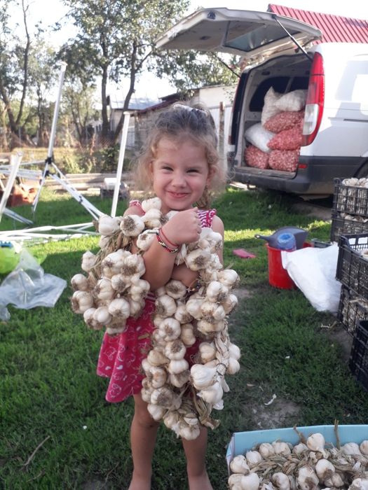 USTUROI românesc fasole arpagic de Copălău