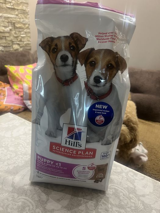 Hill’s puppy lamp and rice
