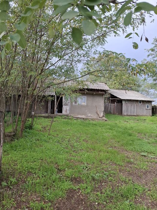 Teren si casa Prisecani, com Boghesti