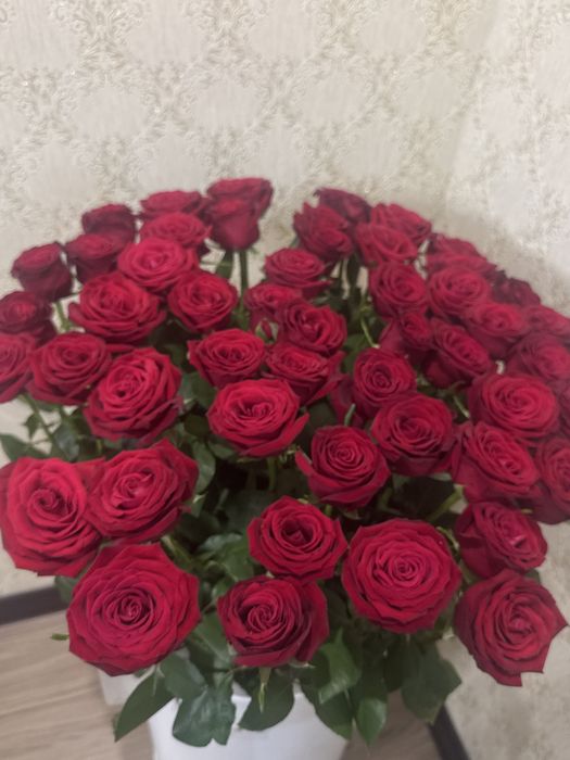 Продаю срочно 1 метровые розы 55шт