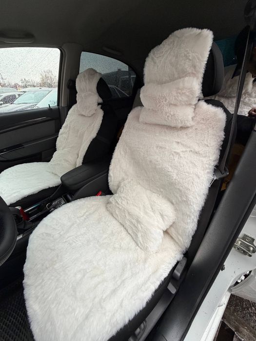 Mex Naturalni va Iskustvinniysu bor