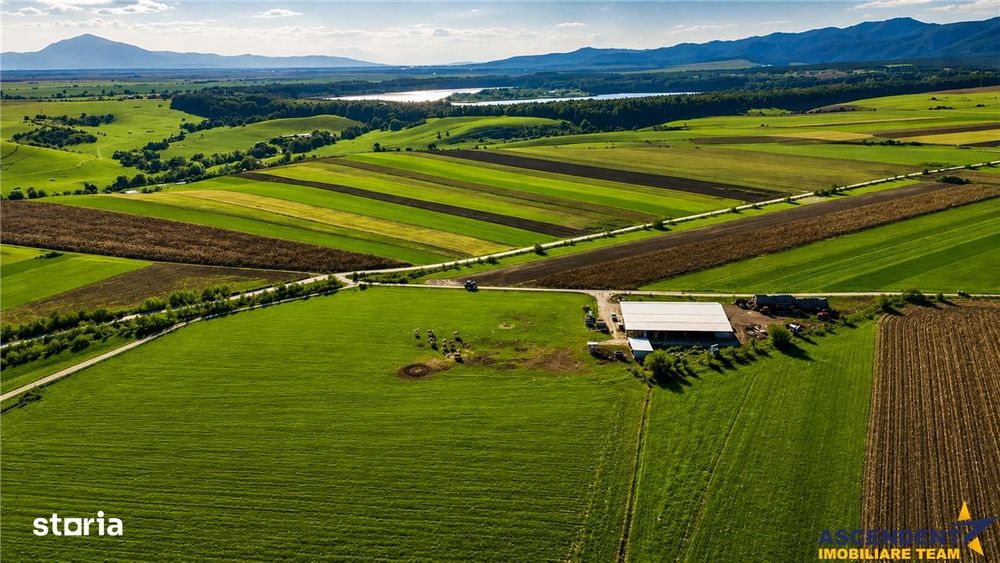 FILM! 18.000 mp, extravilan, agricol+ constructii:ferma,investitii agr
