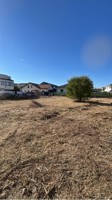 Cosire,curatare iarba-vegetatie