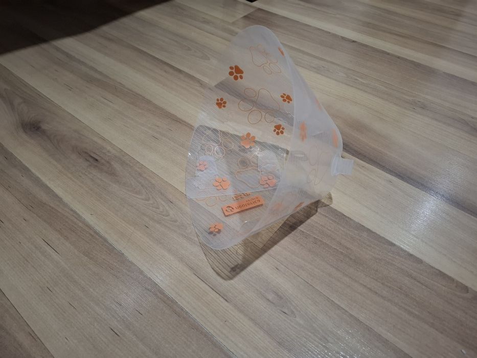 Раздача вещей для котят и кошек