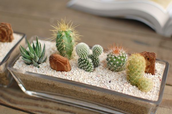 Гранитная крошка для цветов