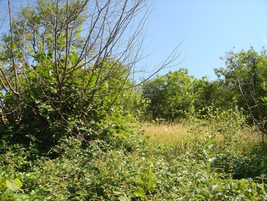 Парцел 4 800 м2 Троян с ПУП