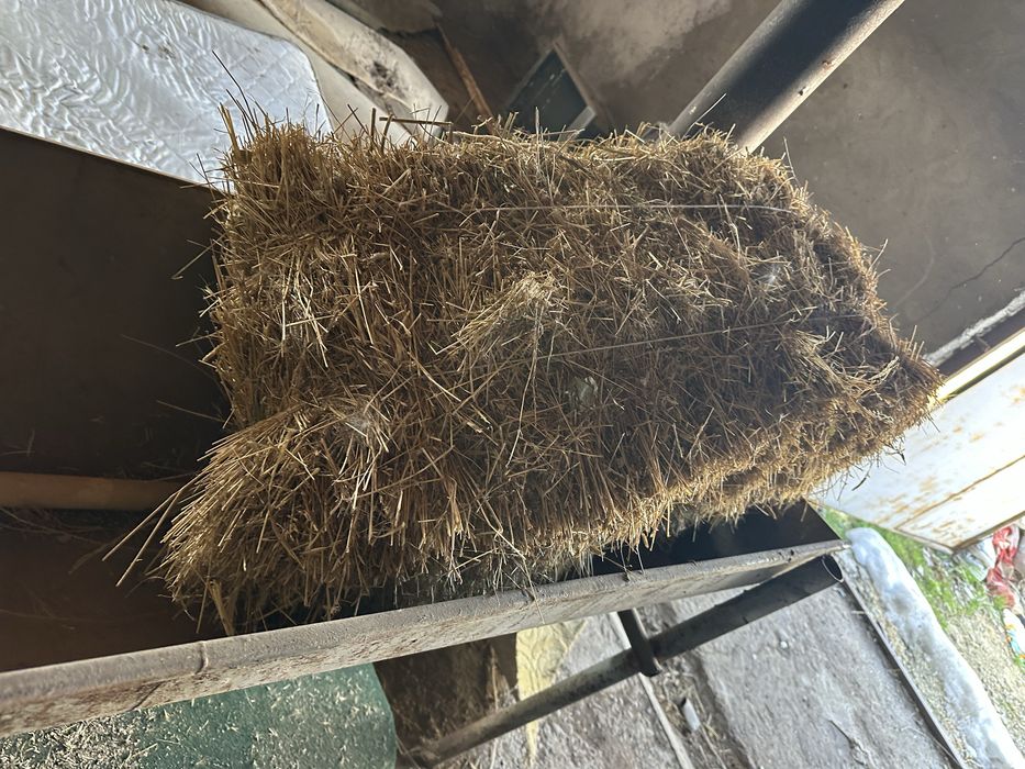 Шөп  жоңышқа арласқан прес