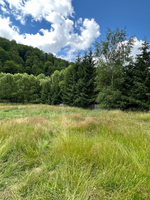 Teren intravilan Cheia, Prahova