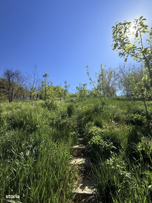 Casă în stațiunea Bazna, jud. Sibiu