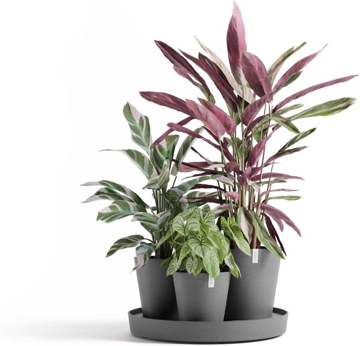 Комплект самополиващи саксии Ecopots Dubai 3 броя и подложка с колелца