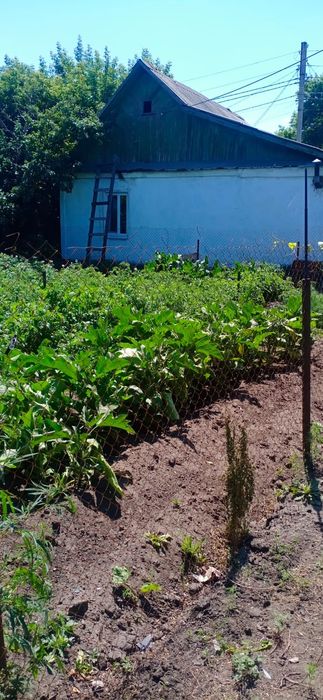 Продается дом по Калинина