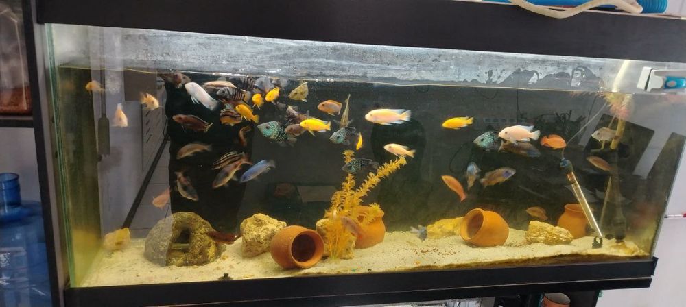 Продаётся аквариум