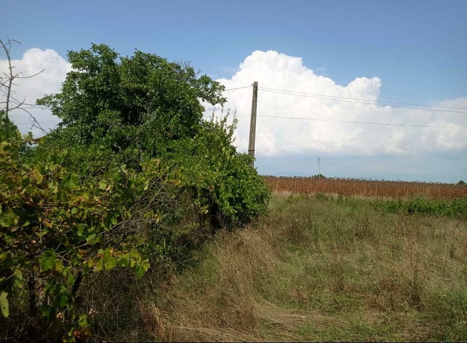 Продава се Парцел в с. Голям чардак, Област Пловдив - 675 кв.м за 23 €/кв.м - Снимка #3