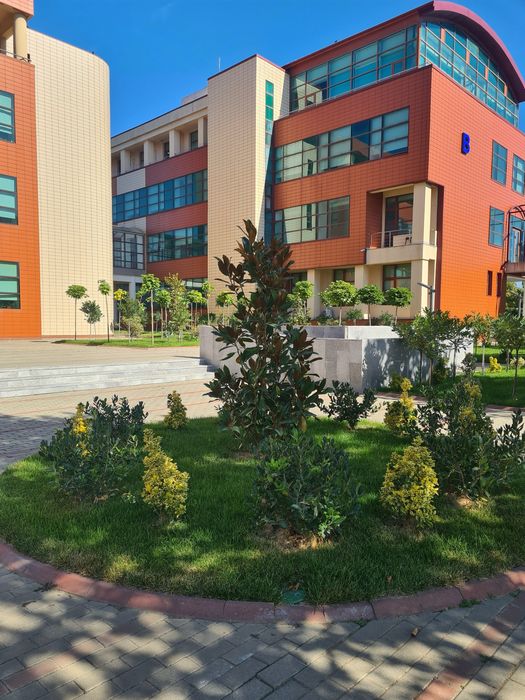 Amenajare Gradina - Gazon Rulouri - Iarba Verde - Peluza