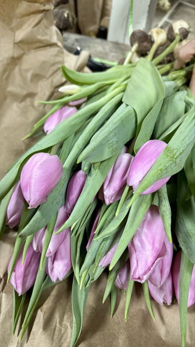 Тюльпаны в розницу предзаказ доставка цветы