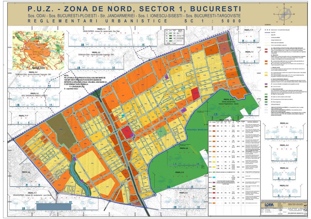 Teren 5000 mp Băneasa | P+4 | Lângă Pădure | Investiție